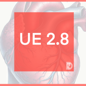 UE 2.8 Processus obstructifs